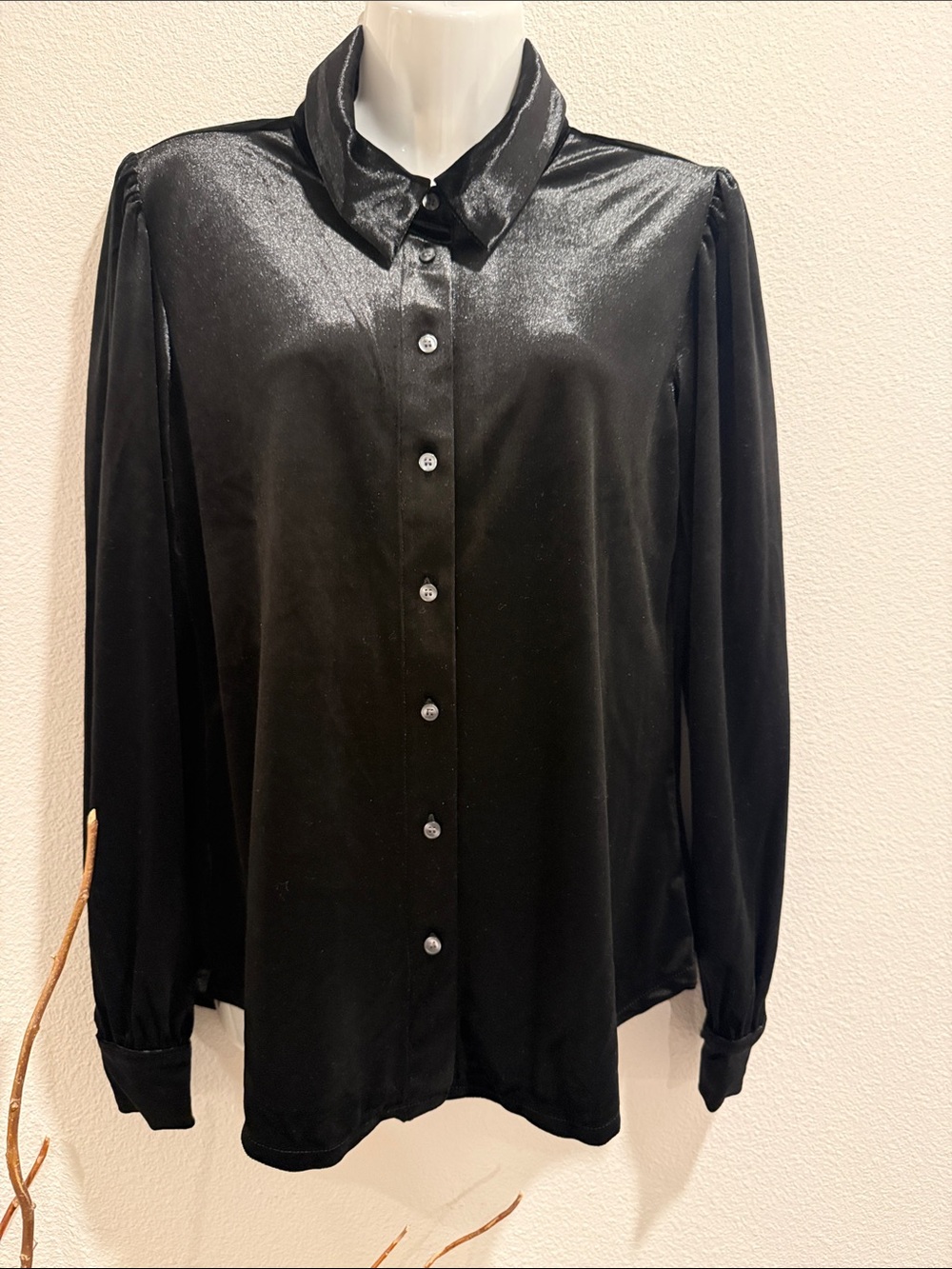 Ann Taylor Black Velour Button-Front Shirt